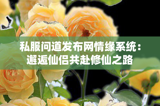 私服问道发布网情缘系统：邂逅仙侣共赴修仙之路