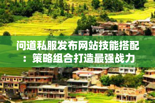 问道私服发布网站技能搭配：策略组合打造最强战力